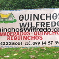 Quinchos Wilfredo