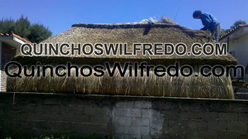 Quinchos Wilfredo